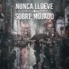 Nunca llueve sobre mojado, terra ignota ediciones, javier garcía