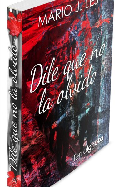 Libro-3D-dile-que-no-la-olvido-mario-j-les