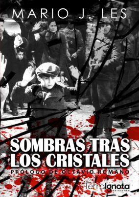 Sombras-tras-los-cristales