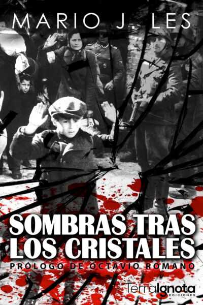 Sombras-tras-los-cristales